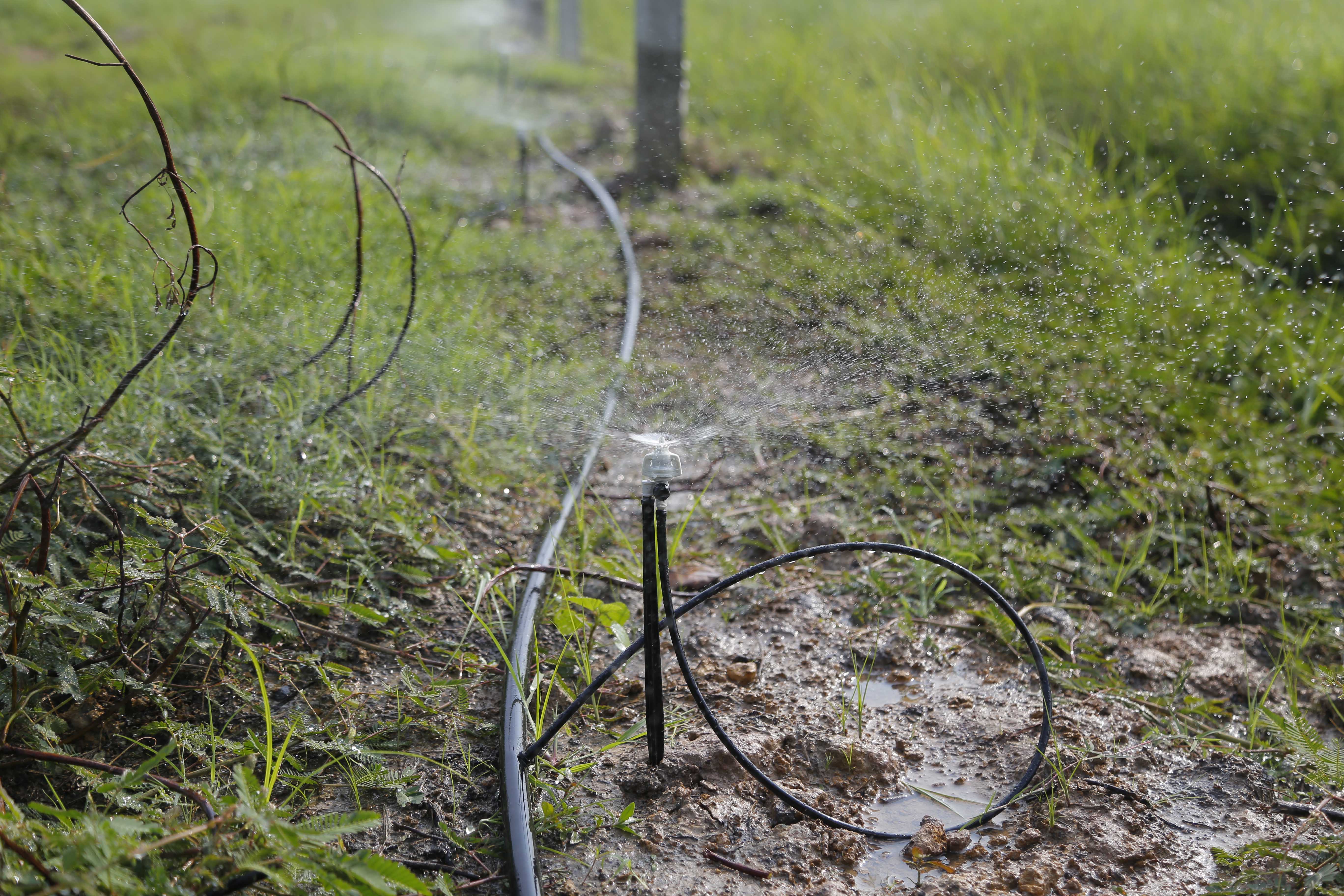 tuoi-phun-mua-su-dung-bec-bspronet