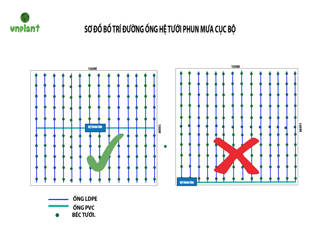 BÔ TRÍ ĐƯƠNG ỐNG TƯỚI ĐÚNG