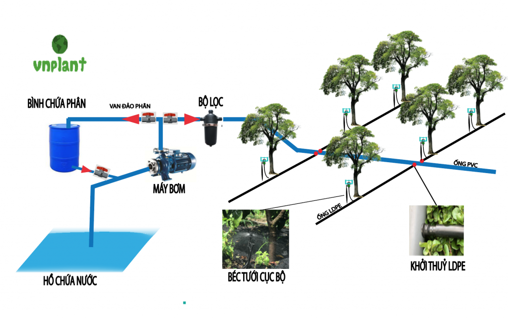 SO ĐỒ TƯỚI PHUN MƯA CHO CÂY BƠ