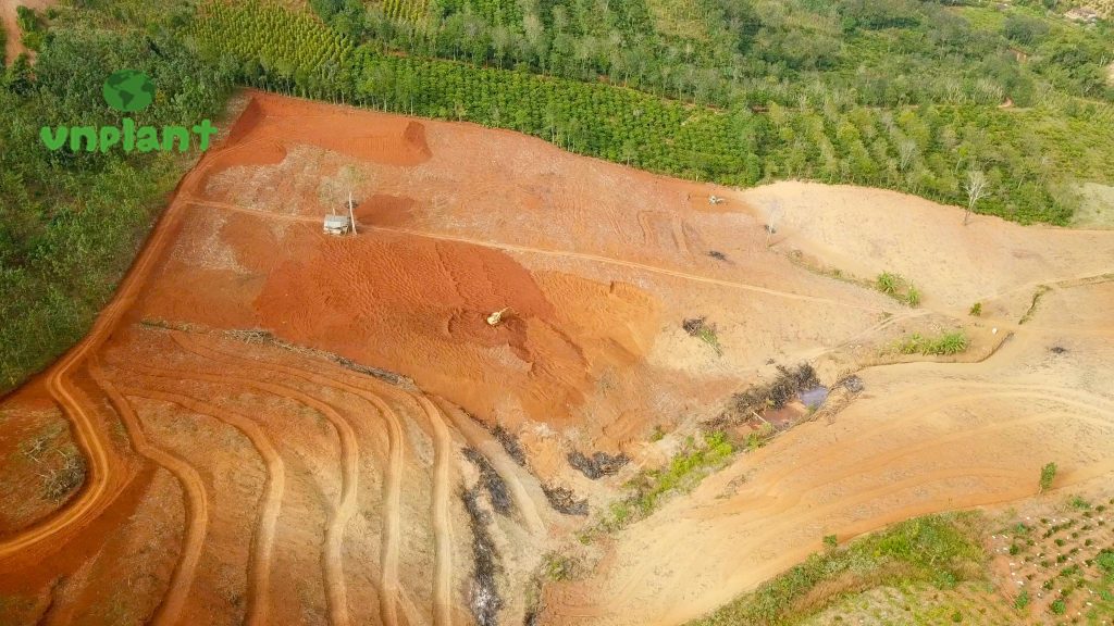 tưới tự động cho cây bơ đất đồi dốc